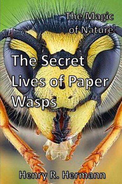 The Magic of Nature: The Secret Lives of Paper Wasps