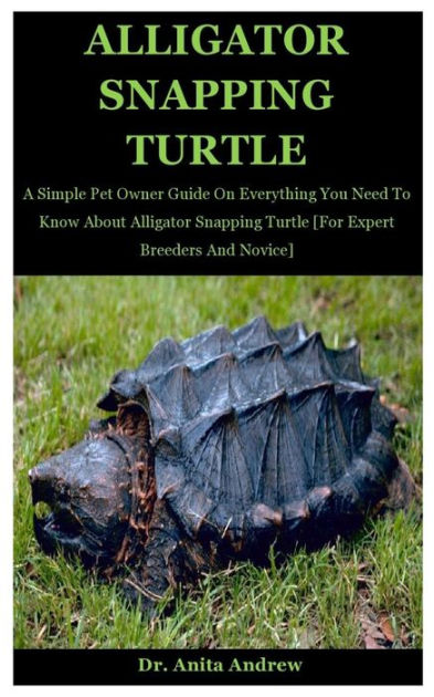 Alligator Snapping Turtle: A Simple Pet Owner Guide On Everything You ...