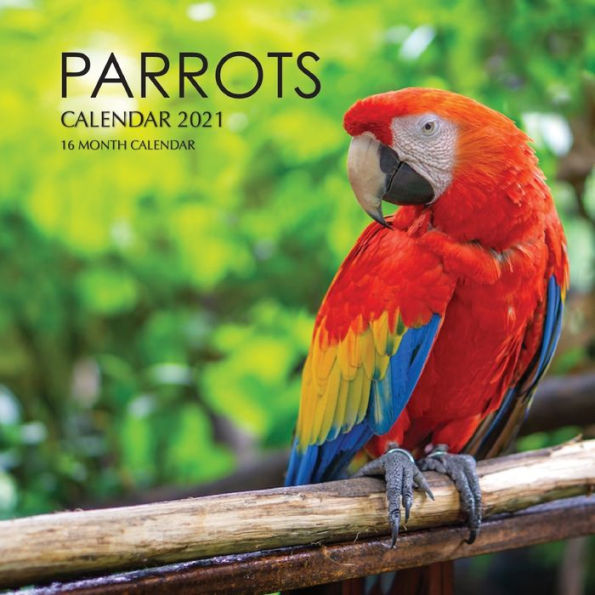 Parrots Calendar 2021: 16 Month Calendar