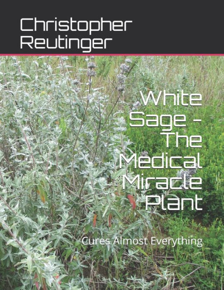 White Sage - The Medical Miracle Plant: Cures Almost Everything