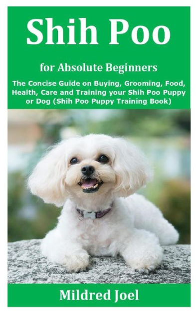 Shih Poo for Absolute Beginners: The Concise Guide on Buying, Grooming ...