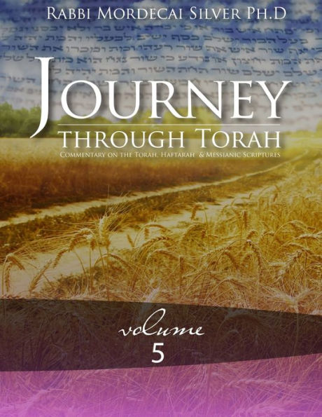 Journey Through Torah Volume 5