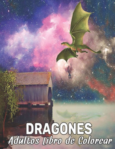 Adultos Libro de Colorear Dragones: Diseños de Dragones para Aliviar el Estrés 50 Diseños de Dragones de una cara para la Relajación y el Alivio del estrés Libro de colorear de 100 páginas Patrones de animales para aliviar el estrés