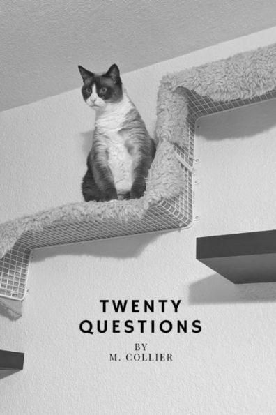 Twenty Questions