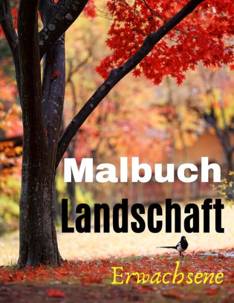 Malbuch Erwachsene Landschaft: Schöne Landschaften - 50 Illustrationen für Stressabbau und Entspannung - Berge - Den Wald und die Landschaft entdecken