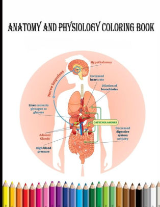 Download Anatomy And Physiology Coloring Book A Human Body Workbook Perfect Gift For Dummies Nurses Students And Medical Anatomy Lovers By Bruch Design Paperback Barnes Noble