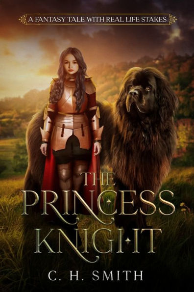 The Princess Knight: A Fantasy Story with Real Life Stakes