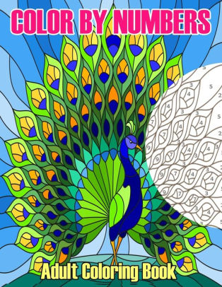 Download Color By Numbers Adult Coloring Book Large Print Coloring By Numbers Coloring Book By Funny Bear Paperback Barnes Noble