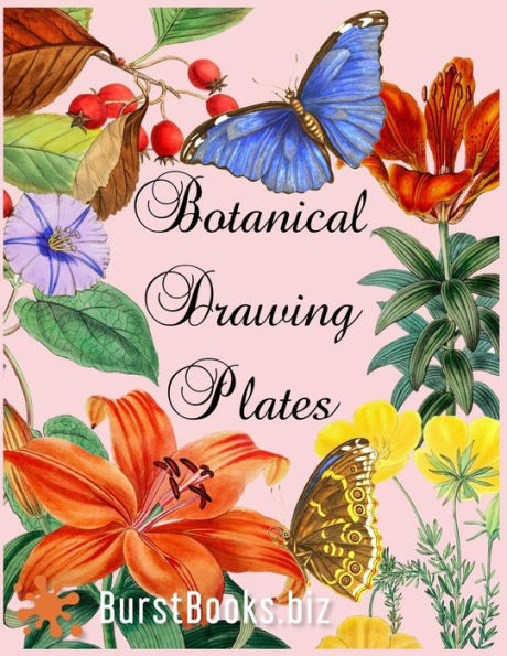 Botanical Drawing Plates: Draw flowers & plants the classical way