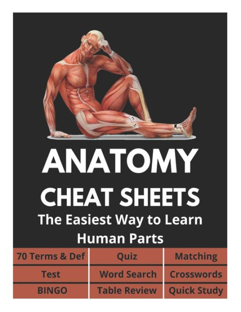 Anatomy Cheat Sheets - 70 Terms & Def, Quiz, Matching, Test, Word ...