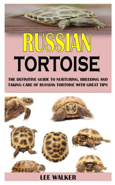 RUSSIAN TORTOISE: The Definitive Guide to Nurturing, Breeding and ...