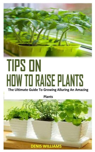 TIPS ON HOW TO RAISE PLANTS: The Ultimate Guide To Growing Alluring An ...