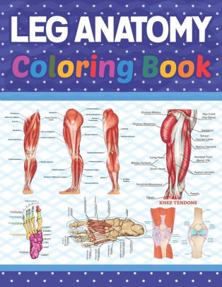 Download Leg Anatomy Coloring Book Human Leg Coloring Activity Book For Kids An Entertaining And Instructive