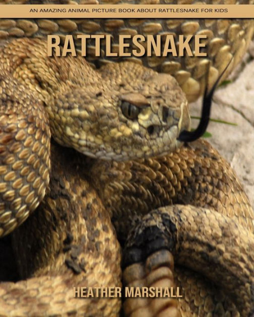 Rattlesnake: An Amazing Animal Picture Book about Rattlesnake for Kids ...