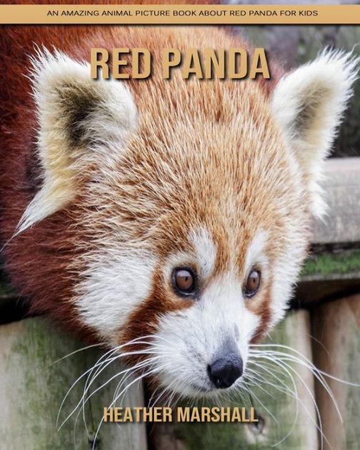 Red Panda: An Amazing Animal Picture Book about Red Panda for Kids by ...