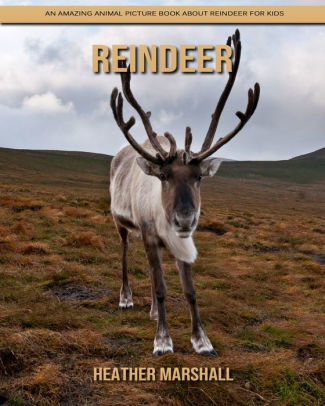 Reindeer: An Amazing Animal Picture Book about Reindeer for Kids by ...