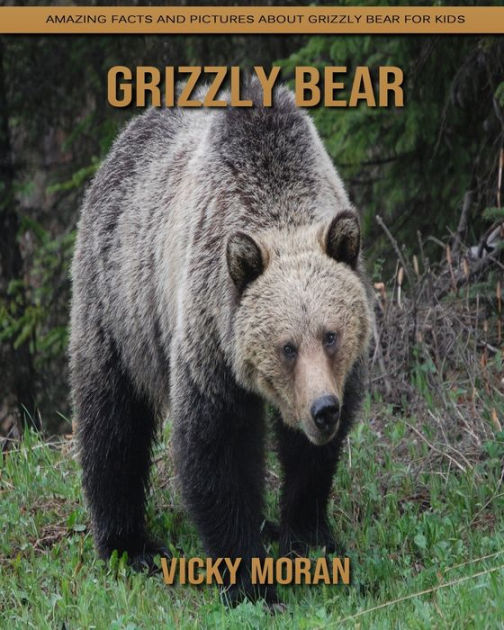 Grizzly bear: Amazing Facts and Pictures about Grizzly bear for Kids by ...