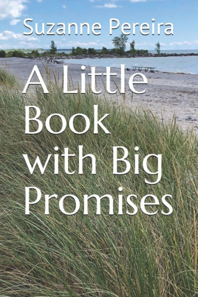 A Little Book with Big Promises