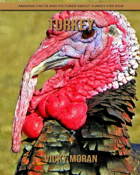 Turkey: Amazing Facts and Pictures about Turkey for Kids