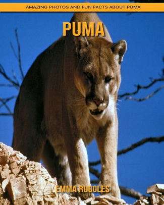 puma facts for kids