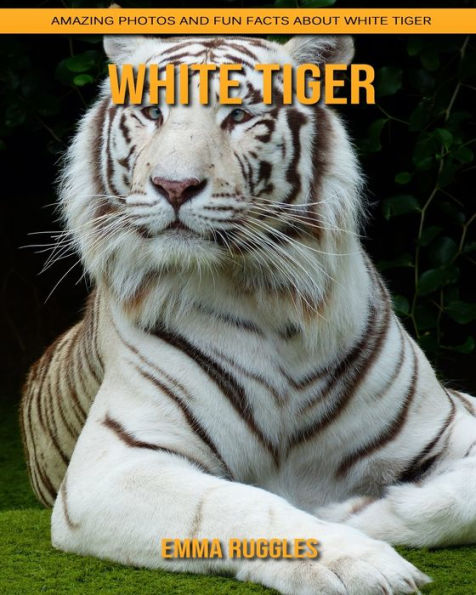 White Tiger: Amazing Photos and Fun Facts about White Tiger