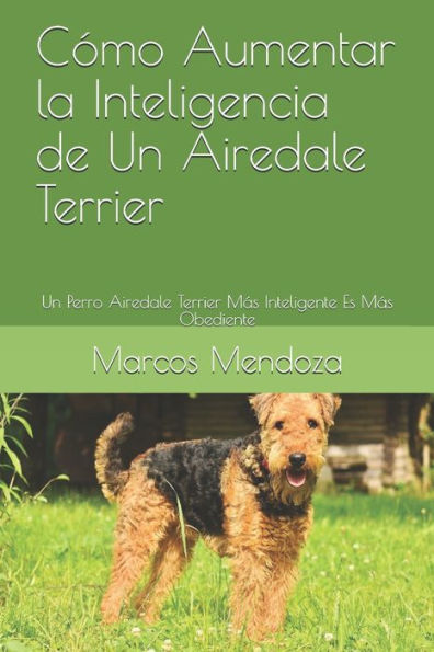 son los perros terrier inteligentes