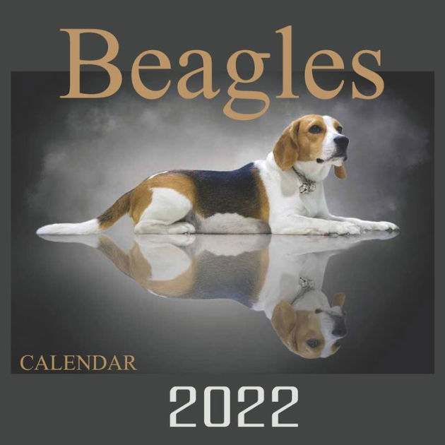 Calendar 2022 Beagles Official Calendar 2022 Beagle Dogs