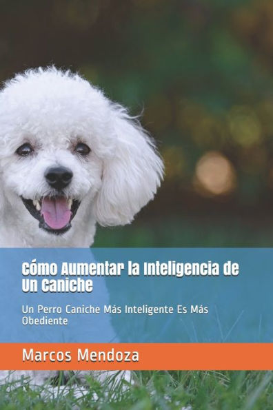 Cómo Aumentar la Inteligencia de Un Caniche: Un Perro Caniche Más Inteligente Es Más Obediente