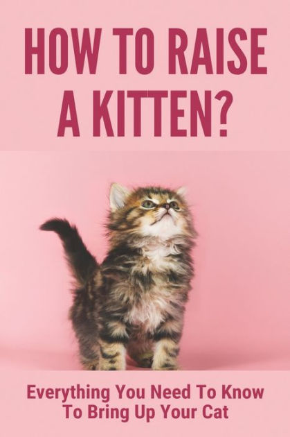 How To Raise A Kitten?: Everything You Need To Know To Bring Up Your ...