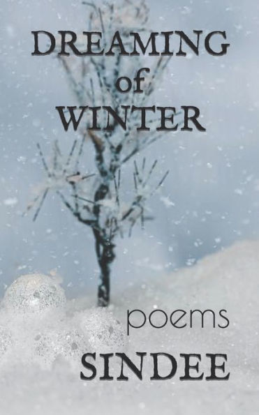 Dreaming of Winter: poems