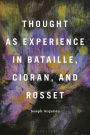 Thought as Experience in Bataille, Cioran, and Rosset