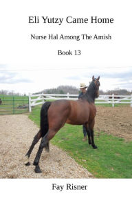 Title: Eli Yutzy Came Home: Nurse Hal Among The Amish, Author: Fay Risner