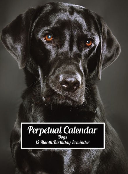 Perpetual Calendar Dogs 12 Month Birthday Reminder: Hardcover Monthly Daily Desk Diary Organizer for Birthdays, Anniversaries, Important Dates, Special Days and Times