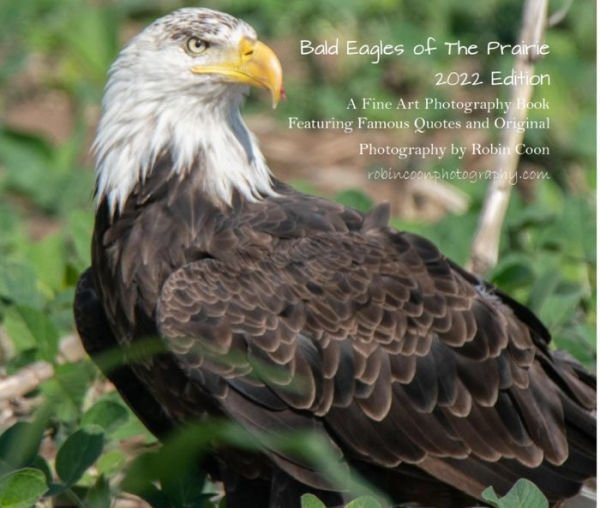 Bald Eagles of The Prairie 2022 Edition