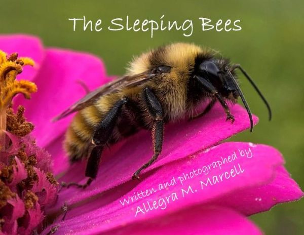 The Sleeping Bees