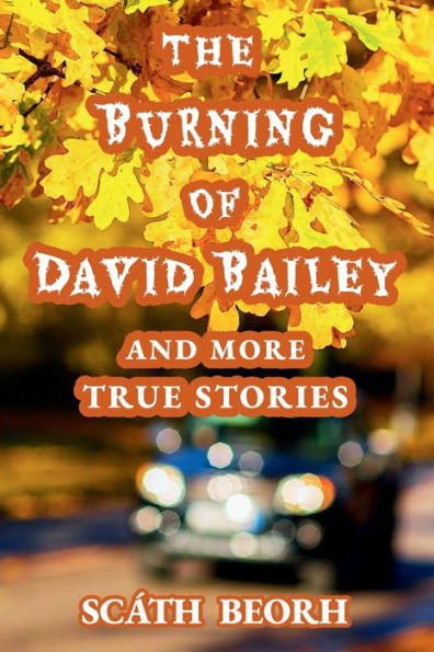 The Burning of David Bailey