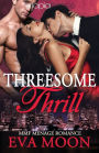 Threesome Thrill: MMF Menage Romance: