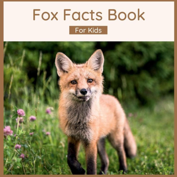 Fox Facts Book For Kids: Fun And Interesting Animal Facts