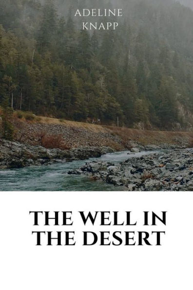the well desert