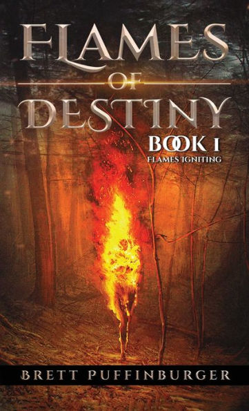 Flames of Destiny: Book 1: Flames Igniting