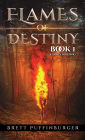 Flames of Destiny: Book 1: Flames Igniting