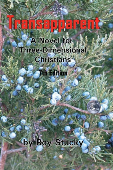 Transapparent: A Novel for Three-Dimensional Christians: