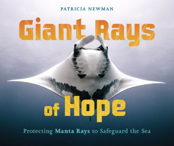 Giant Rays of Hope: Protecting Manta to Safeguard the Sea