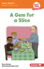 A Gem for a Slice: Book 14