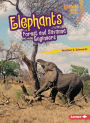 Elephants: Forest and Savanna Engineers