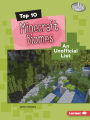 Top 10 Minecraft Biomes: An Unofficial List