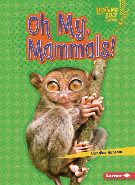 Oh My, Mammals!