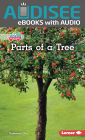 Parts of a Tree