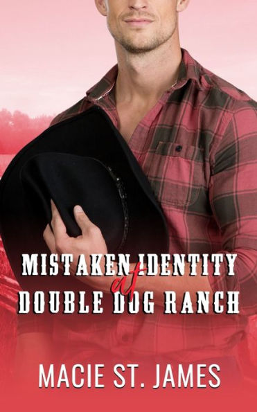 Mistaken Identity at Double Dog Ranch: A Clean Contemporary Western Romance
