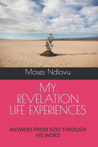 MY REVELATION LIFE EXPERIENCES: ANSWERS FROM GOD THROUGH HIS WORD